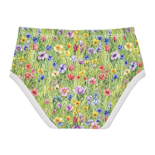 Colorful Girls Underwear Toddler 2t Cotton Girl Panties Cute Watercolor Flowers Colorful Floral Kids Undies Briefs2