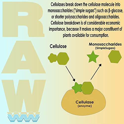 Raw Enzymes 8 oz NPK Industries miniatura 3