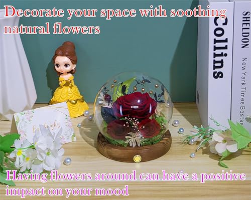 Valley of Rain & Forest Long-Lasting Real Flowers, Unique Floral Gift for You to Send Love for All Occasions, for Indoor Decoration (Dark Red Rose Arrangement)