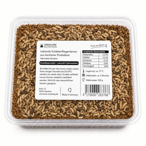 Soldatenfliegenlarven lebend 500 g – Lebende Futterinsekten (Hermetia illucens) – Futterlarven für Vögel, Igel, Reptilien & Fische – aus Aachen