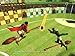 Harry Potter: Quidditch World Cup - PlayStation 2