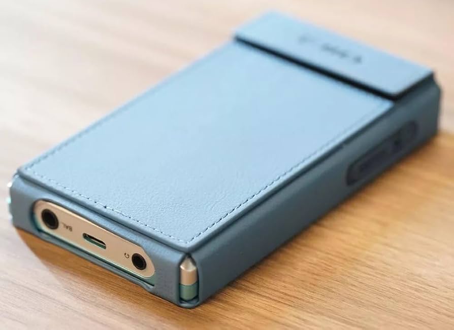 Leatherette Case for the FiiO JM21 (BLUE) : Amazon.co.uk