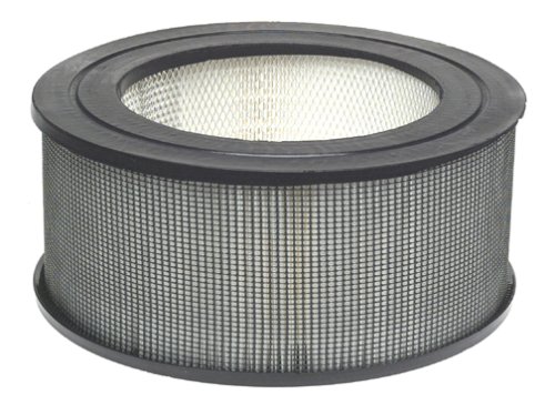 Honeywell 21500 Enviracaire True HEPA Filter