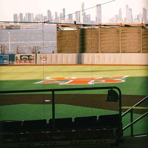 FerryHawks to Take Flight at Newly Renamed Ballpark, Plus More Stories On Staten Island