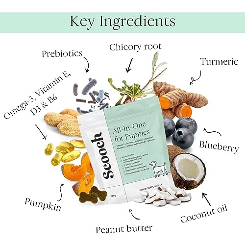 Scooch Puppy Supplements Dog Vitamins and Supplements 60 Crunchy Chews, 100% Plant Based - Image 3