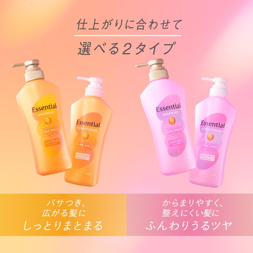 Amazon.co.jp: エッセンシャル : ベーシックシリーズ