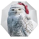 Compact et portable : mesurant seulement 29 cm une fois plié, ce parapluie coupe-vent se glisse sans effort dans votre sac à main, sac à dos ou sac de voyage. Il est également livré avec un manchon de protection pour garantir qu'il reste en excellent état lors de vos déplacements