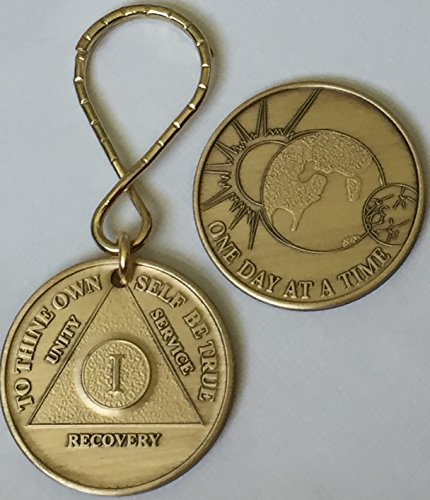 Wendells 1 Year Aa Medallion Keychain Tag & One Day At A Time Universe Serenity Prayer Medallion #TOP4
