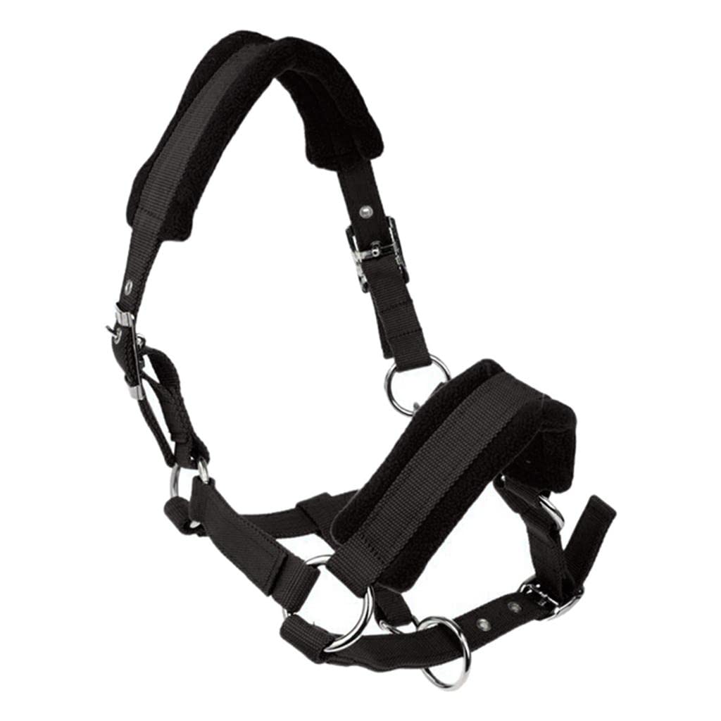 Qianly Cabezada de Gruesa para Caballo COB