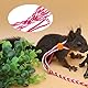 Pssopp Kleintiere Leine - Haustier Ratte Maus Hamster Harness Verstellbar Outdoor Leine für Walking Training - Bunny Frettchen Kleintier (Pink Rosarot)