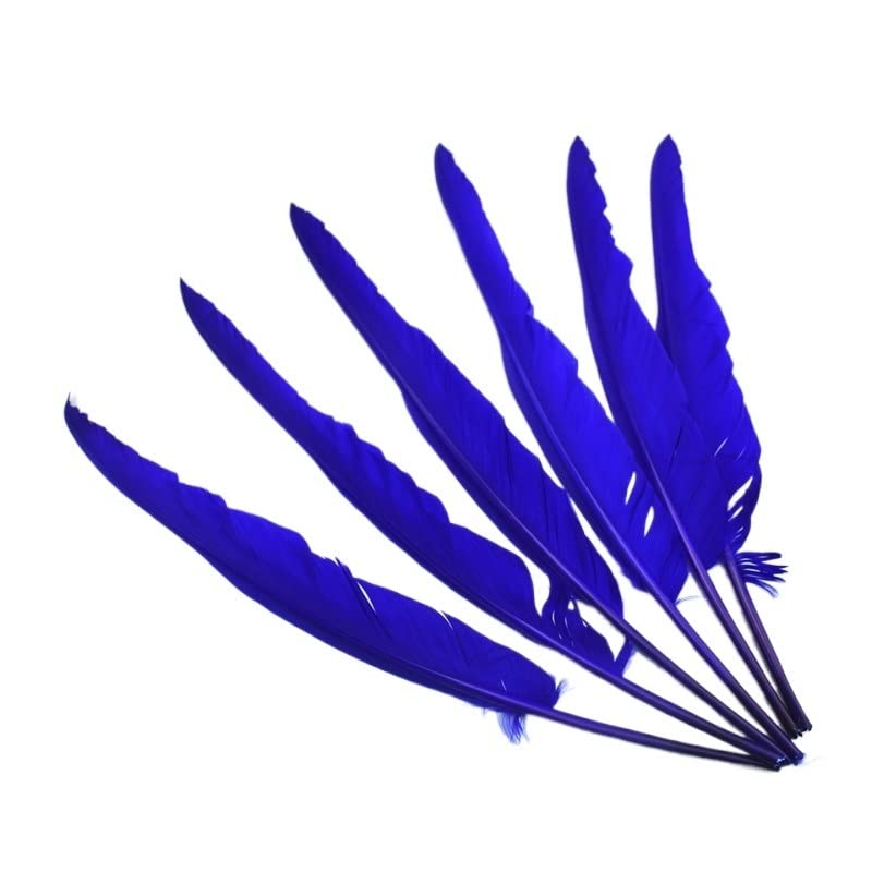Plumas de pavo azul real para dar vida a tus sombreros y manualidades únicas