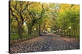 ART.COM Stretched Canvas Print Central Park. Image of the Mall Area in Central Park, New York City, USA at Autumn. by Rudy Balasko, 36' x 24'