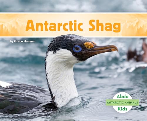 Antarctic Shag (Antarctic Animals)