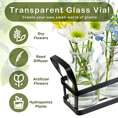 Propagation Stations Indoor Decor Plants Propagation Station With Stainless Steel Stand, Propogation Planters Glass With 5 Air Plant Terrarium For House Plants Hydroponic Home Garden Office Decoration #TOP1