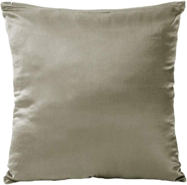 Tim & Tina 100% Pure Mulberry Luxury Silk Satin Pillowcase,Square Decorative Throw Pillow Case Cushion Cover (20" x 20", Taupe)