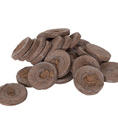 Jiffy - Lote de 7 pellets de cultivo para plantas de jardinería (41 mm, 1000 unidades)
