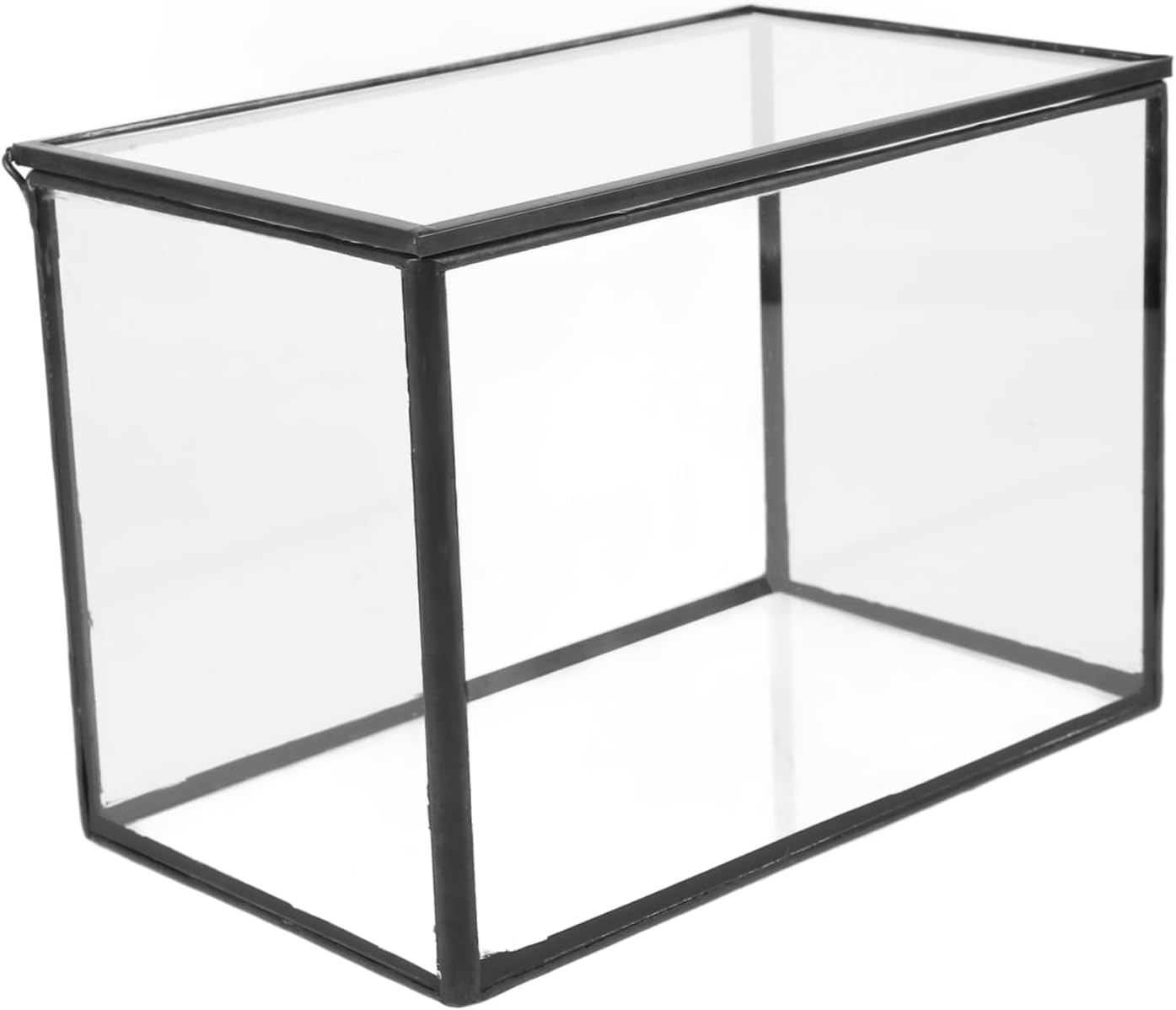 VICASKY Clear Glass Terrarium for Succulent Plants Stylish DIY Landscape Container for Indoor Decor for Room Office Balcony and Tabletop Decoration