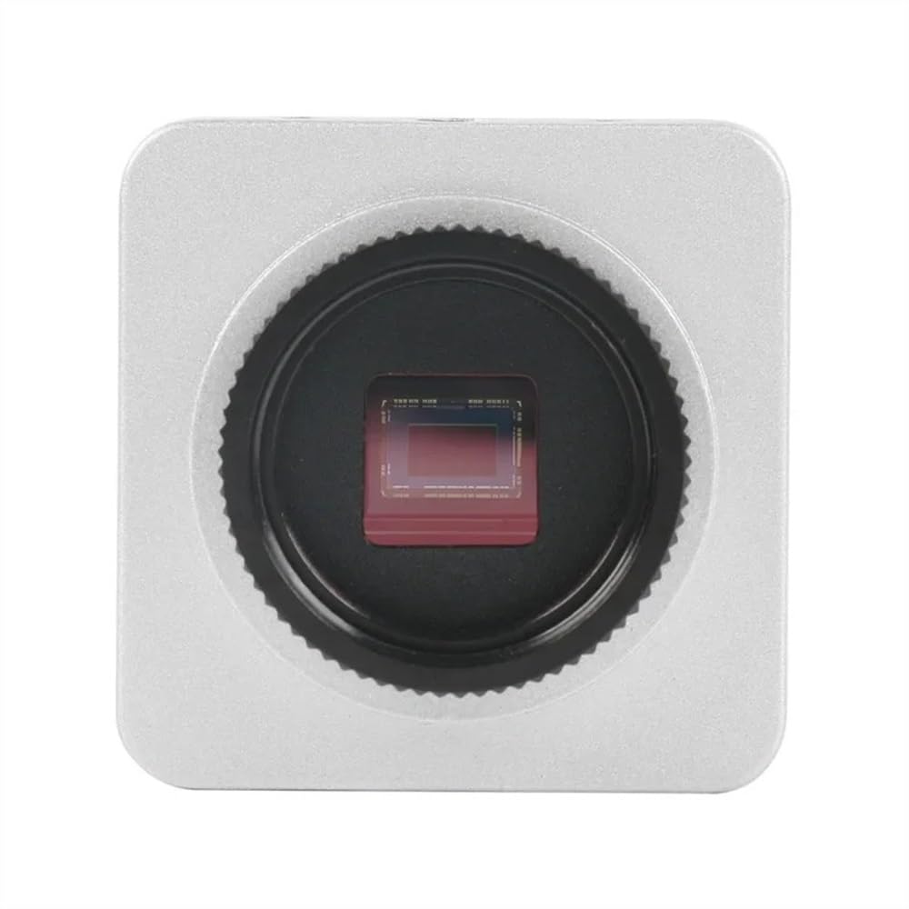 Mikroskop-Beobachtung, 10 MP, 4 K, 1080P, HDMI-Typ-C, PC, digitales Videomikroskop, C-Halterung, Kamera für Handy, PC, PCB, SMD, Tablet, Löt-Reparatur (130-fache Linse mit LED)