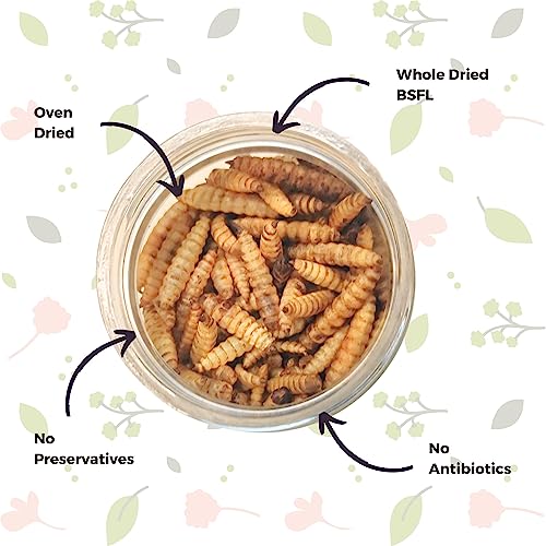 Image of Dried Black Soldier Fly Larvae Fish Food 55 Grams for Arowana Oscar Flowerhorn & Carnivorous Fishes Omega 3 & 6 50x More Calcium Than Worms