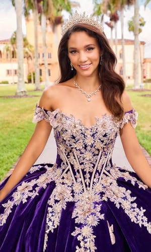 Luxury Velvet Quinceanera Dresses 3D Butterfly Ball Gown Gold Lace Appliques Sweet 16 Dresses with Removable Cape3