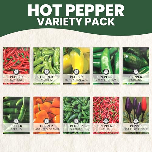 Hot Pepper Seeds | 10 Individual Packs | 2026 Season | Non-GMO | Cayenne, Habanero, Thai Pepper, Poblano & More! | for Planting Indoor & Outdoor | by Family Sown - Image 4