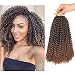 Refined Hair 12inch 6packs/lot Ombre Malibob Jerry Curly Twist Hair Synthetic Crochet Braids Freetress Braiding Hair Extensions (12 inch, T30)
