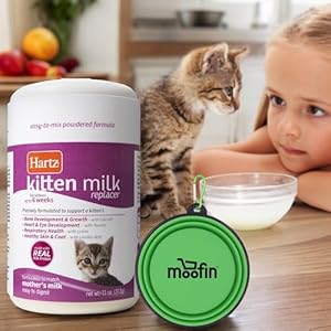 Kitten Milk Replacer Powder, 11 Oz, Bundled with Silicon Pet Bowl, Easy-to-Mix Formula with Essential Vitamins & Minerals, Powdered Milk for Growth & Development~ [Pack of 3]