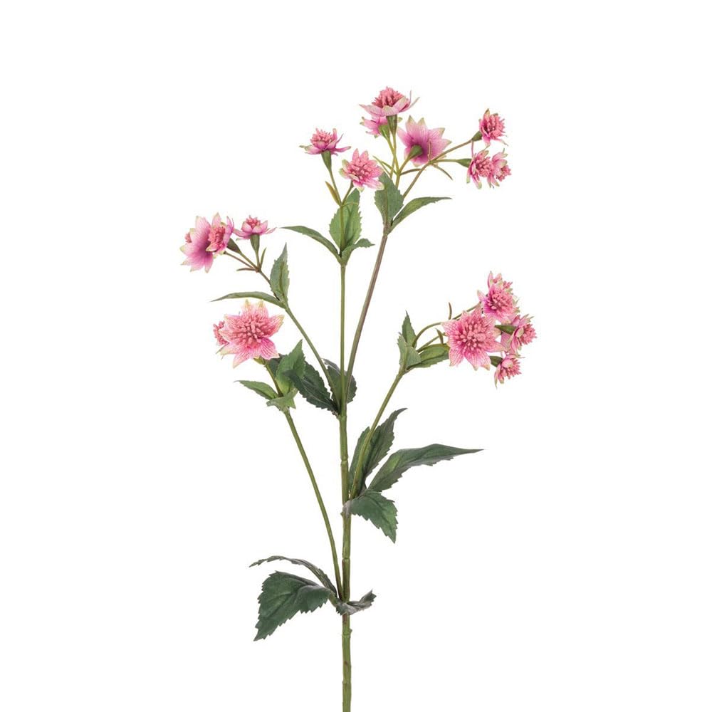 FloristryWarehouse ECO Sustainably Produced Faux Silk Astrantia Stem 77cm/30 Inches Tall Pink