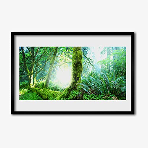 Affiche encadrée 60x40 cm Tulup cadre photo en MDF avec poster nature de forêt