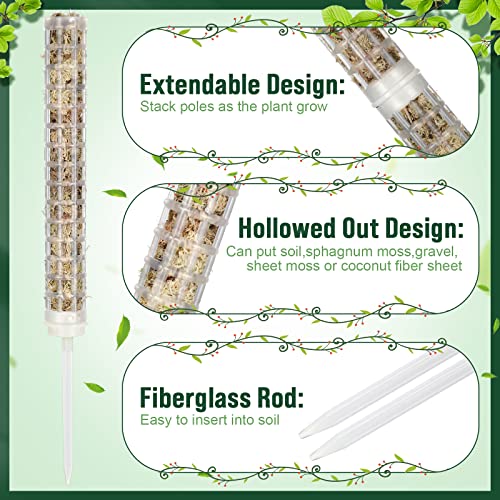 Support plante Monstera avec tuteurs emboîtables en plastique et étiquettes - 4