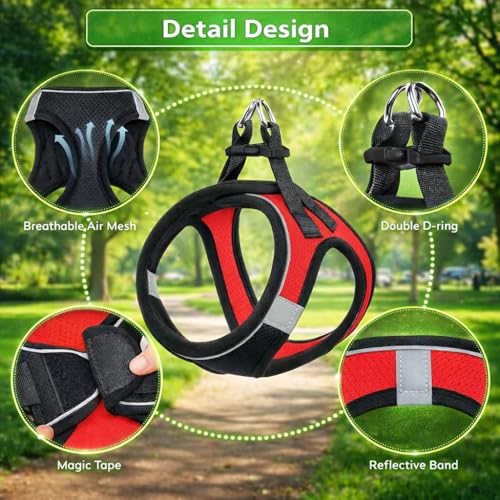 Image of Berlin's Cat Harness with Leash for Outdoor, Walking, Escape Proof, Air Mesh Fabric, Easy Control, Adjustable & Durable Cat Leash with Harness for Cats (Black-Red, Large)