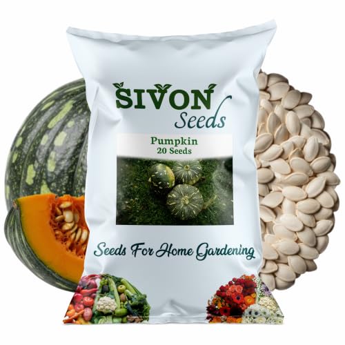 Image of SIVON Pumpkin (Kaddu) (20 Seeds) Vegetable Seeds for Home Garden, Organic & Hybrid, Perfect for Home Gardening, Planting For Pots and Patio