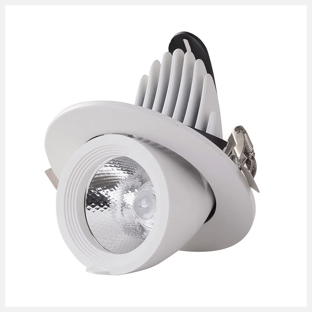 ITOSUI LED Recessed Ceiling Spotlight Flush Mount Spot Light, Rotatable Directional Ceiling Lighting Fixture Accent Spot Lamp, Gallery Corridor Living Room Ceiling Spotlights (Color : 4000k-10W)