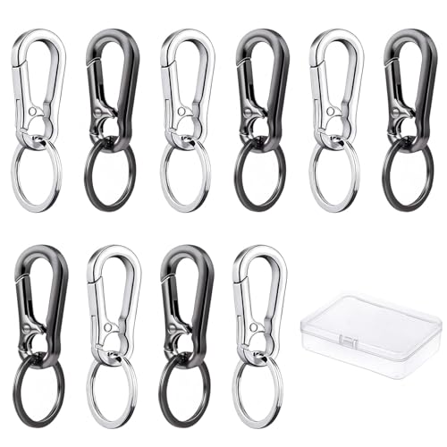 10 Stück Karabiner Schlüsselanhänger, folaoerrr Metall Carabiner Schlüsselanhänger, Abnehmbare Klein Karabinerhaken, Schlüsselring Mit Karabiner, Mit Aufbewahrungsbox (Silber/Grau Schwarz)