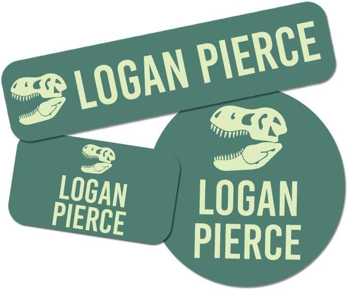 Name Tag Stickers for Boys, Personalized Washable Name Labels, Premium Waterproof Sticker for Summer Camps, School Supplies, Clothing, Lunch Boxes, & More - 128 Ct & 256 Ct (T-Rex Design)