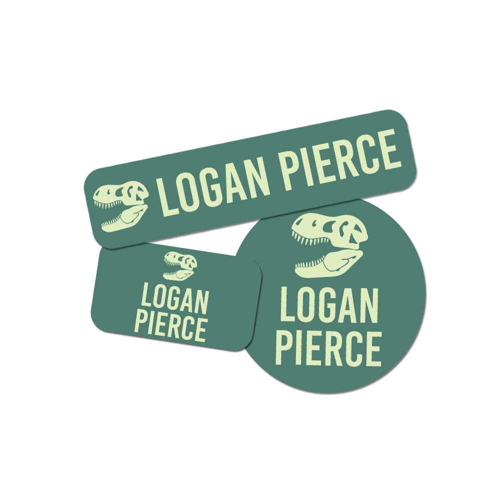 Name Tag Stickers for Boys, Personalized Washable Name Labels, Premium Waterproof Sticker for Summer Camps, School Supplies, Clothing, Lunch Boxes, & More - 128 Ct & 256 Ct (T-Rex Design)