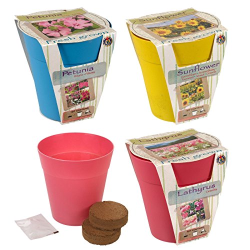 URBNLIVING 6 Assorted Coloured Flower Growing Pots
