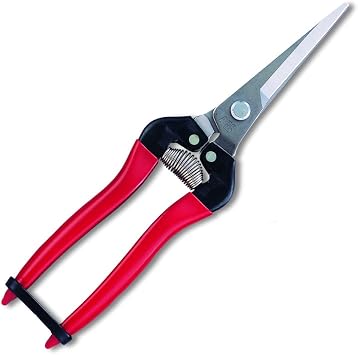 ARS Corporation 300LL-DX-BP Fruit Sewing Shears Extra Long Type Stainless Steel Blister Pack