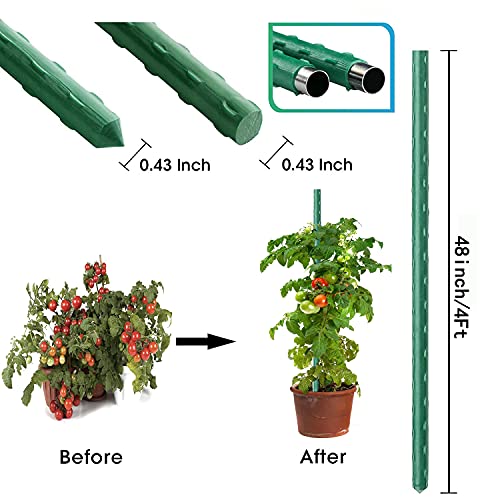 image for Jxrhy 4Feet 48inch Garden Stakes Sturdy Plant Sticks Support Tomato St