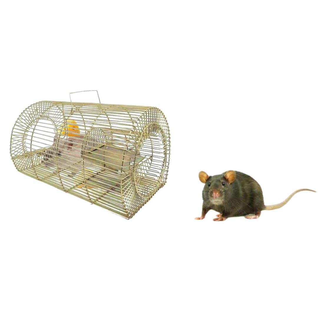 A Z Collection Rat Trap CAGE Big Size EX Heavy Quality CAGE, Rat Trap CAGE Big Size Mouse Trapper, Rat Catcher, Rat Cage Trap, Big Rat, 11 Inch 1 PCS (B0B7J9NKXX) Amazon Price History, Amazon Price Tracker