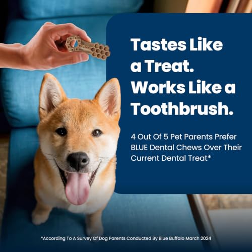 Blue Buffalo Chicken & Spearmint Small Dental Chews, 11.3 oz, 28 ct - image 6