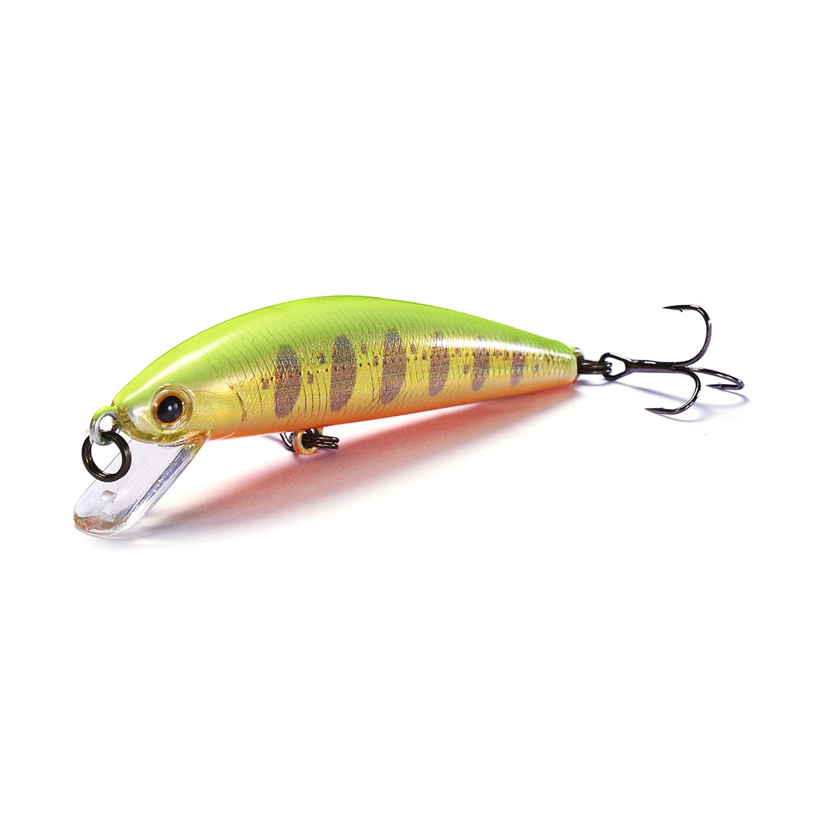 Jackson Trout Tune 55 Gym Gold Yamame