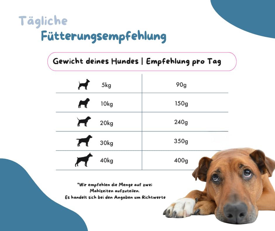 Irish Pure Adult - Atlantik Lachs 12kg + Rinderschulterblatt - Getreidefreies & Hypoallergenes Trockenfutter - Premium-Hundefutter + Snack im Vorteilspaket - Sparpaket - Trockenfutter und Leckerli Mix