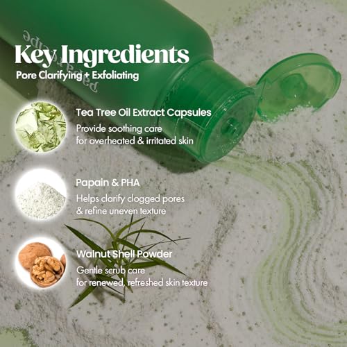 Image of Papa Recipe Tea Tree Control Enzyme Powder Cleanser (1.7oz /50g) - Travel-Friendly Korean Powder-to-Foam Face Wash, Soothing & Calming Care, Gentle Exfoliation, Smooth Texture & Pore Care