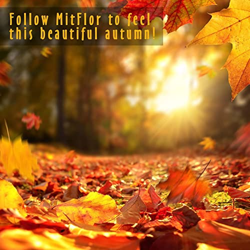 Autumn Fragrance Oils, Mitflor 12 Bottles Premium Scented Oils For Diffuser, Men's Club, Soap, Candle Making, Spice Bomb, Leather, Orange Spice, Vanilla Pumpkin, Aromatherapy Oils Gift Sets #TOP7