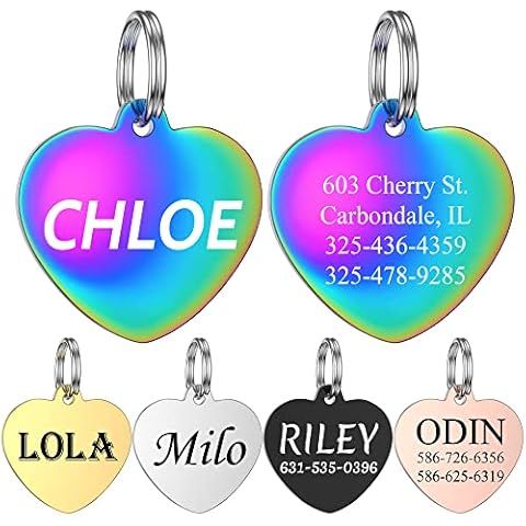 GISUREY Dog Tags Custom Pet ID Tags Stainless Steel Personalized Double-Sided Engraving Pet Name Tags for Dogs and Cats (Heart) Cover