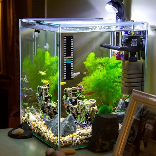 Image of 6 PCS Aquarium Thermometer Strips, 61-122℉(15-50C) Digital Adhesive Fish Tank Thermometer Sticker Easy-to-Read Temperature Sticker Display for Aquarium Fish Tank Brewing