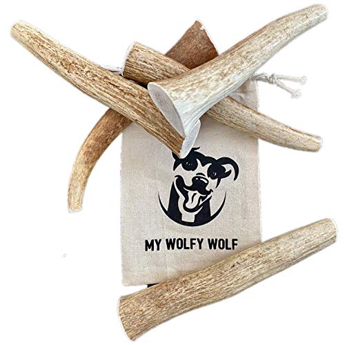 Chicken Flavored Elk Antler for Dog Chew