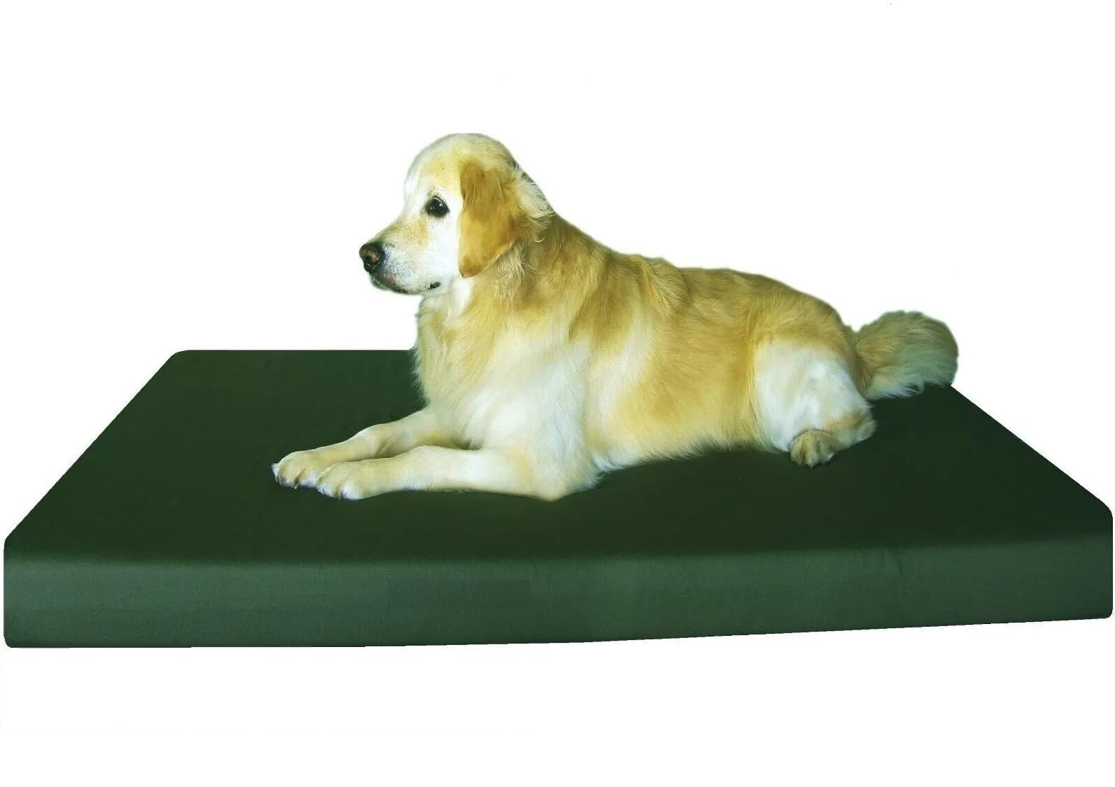 FOAMSUPA Heavy Duty Pet Dog Bed Mattress Mat Cushion with Tough Waterproof cover (Bottle Green, Medium 75cm x 52cm x 5cm – 30″ x 20″ x 2″)