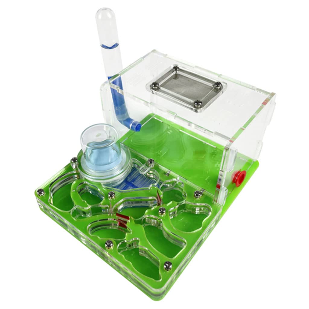 Formicaio Acrilico Fai Da Te Con Doppia Torre Dell'Acqua - Per Osservazione Insetti